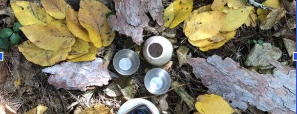 Forest Bathing with Todd Lynch - September 27